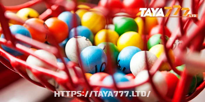 Key Reasons Behind the Online Bingo Popularity Philippines